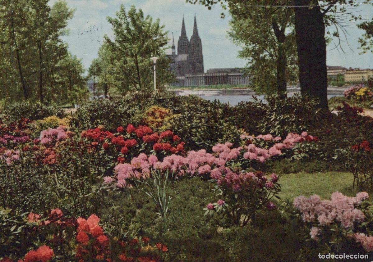 Postcards: Germany Cologne Deutz View of the Cathedral From the Rhine Park *YAT789