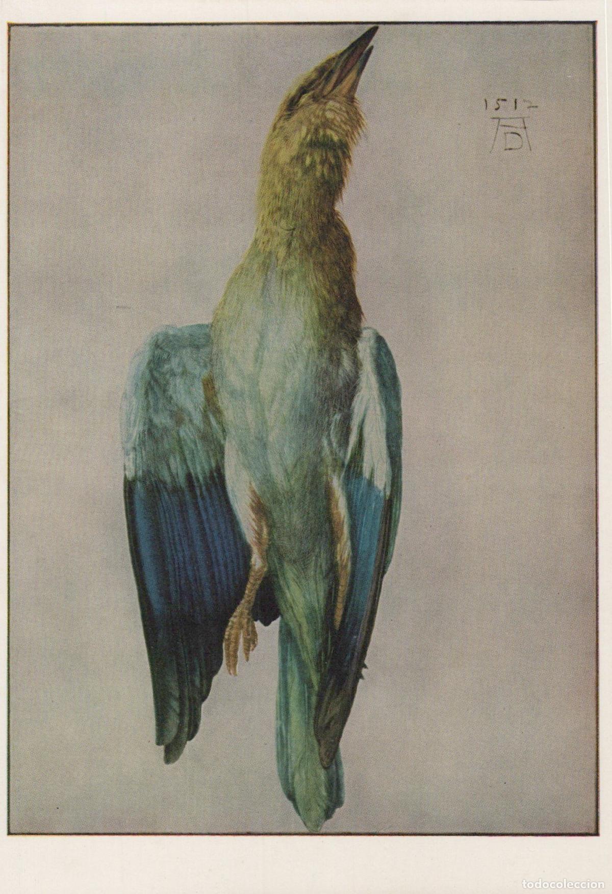 Postcards: Austria Vienna Albrecht Durer Blue Roller Bird Study Albertina Unposted *YAU109