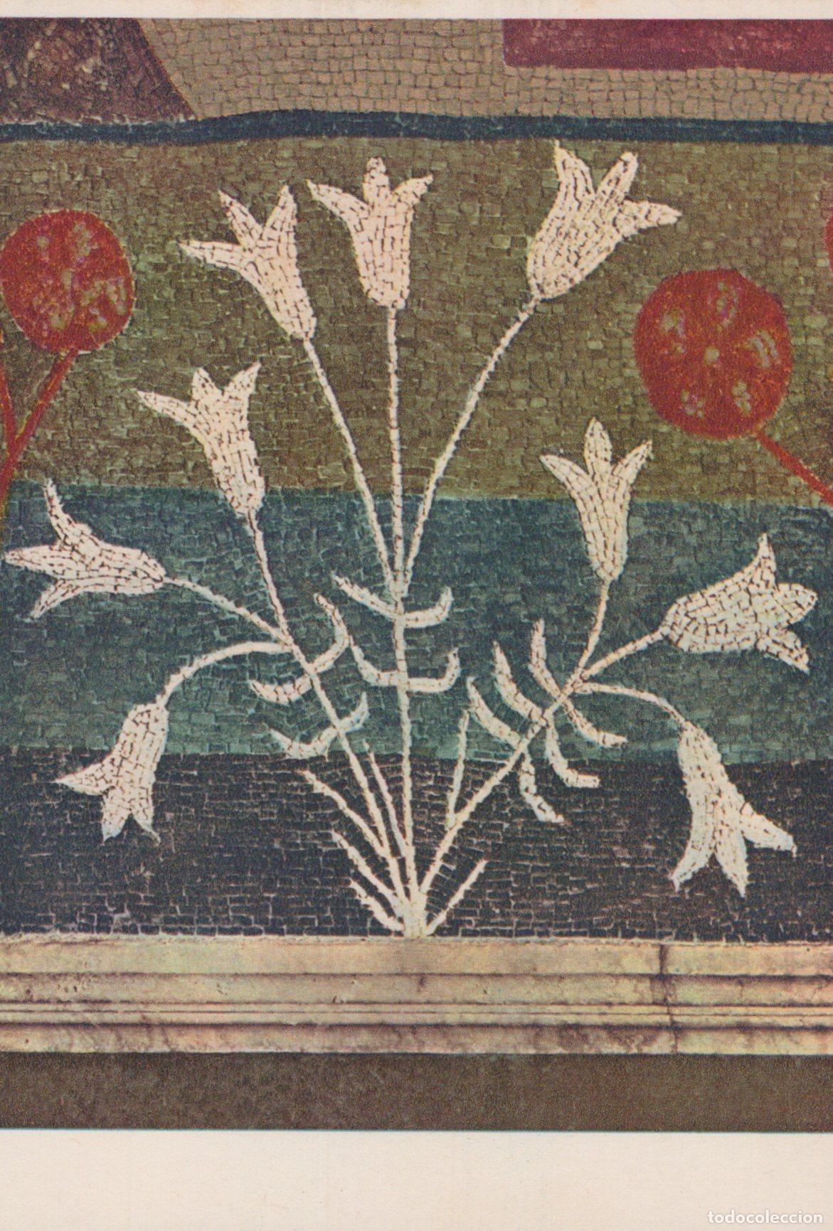 Postcards: Italy Florence Baptistery Mosaic C 1270 die Meister Flower Unposted *YAU071