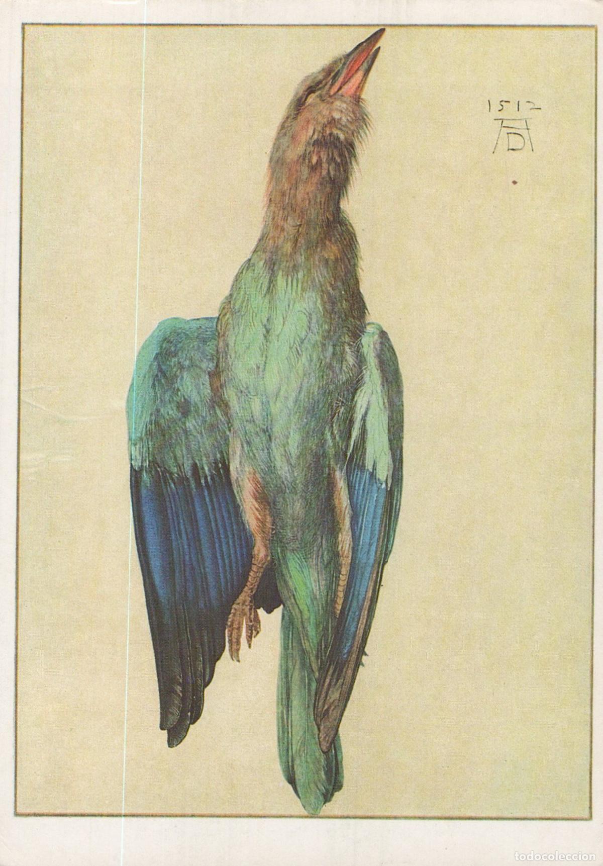 Cartoline: Germany Leipzig Albrecht Durer Blue Roller Bird Watercolor Unposted *YAU189