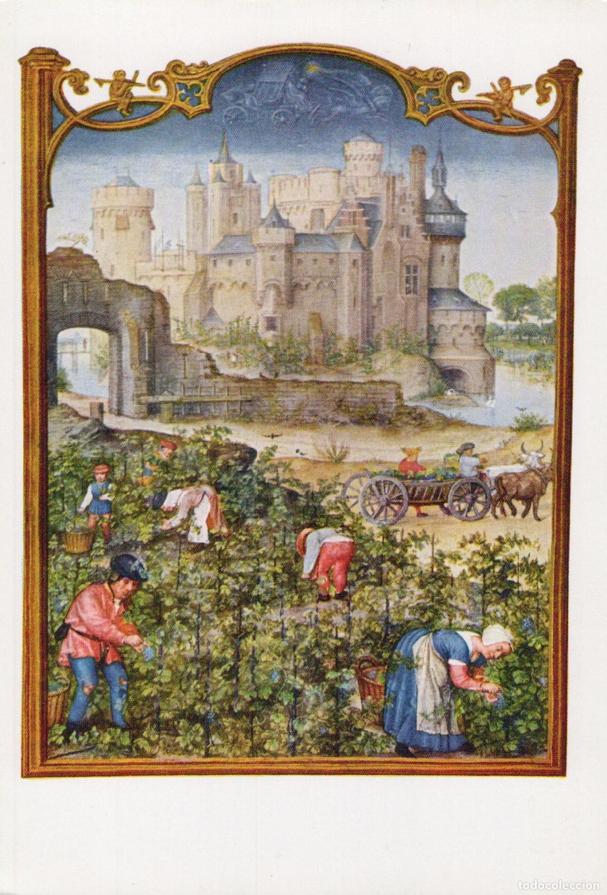 Cartoline: Germany Stuttgart Medieval Castle Vineyard Grape Harvest Art Unposted *YAT994