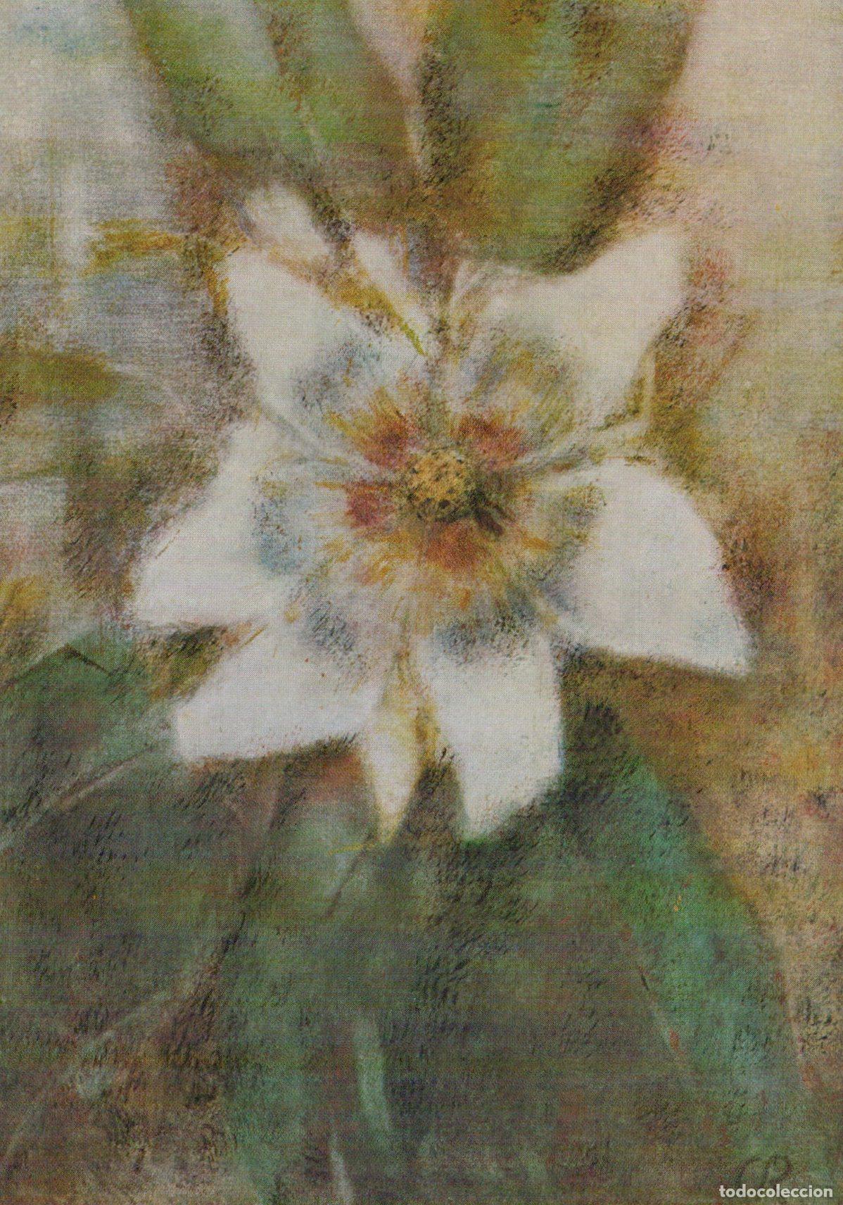 Cartoline: Germany Recklinghausen Christian Rohlfs Magnolie von San Unposted *YAU028