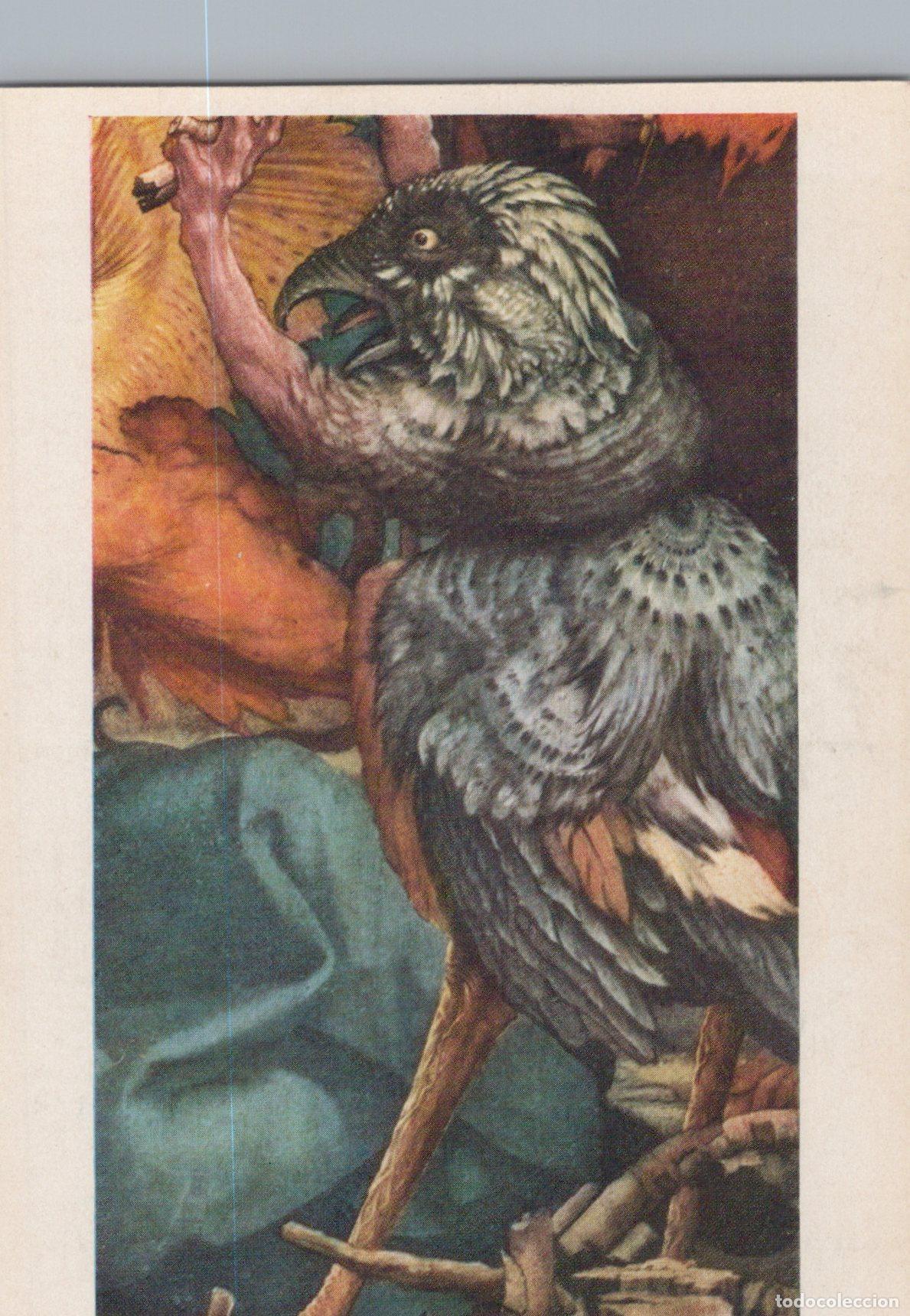 Postales: Germany Colmar Bird Like Demon From the Isenheim Altarpiece By Unposted *YAU181