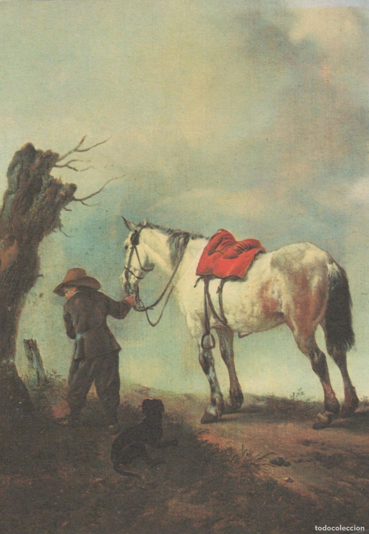 Postcards: Netherlands Amsterdam Philips Wouwerman der Schimmel Man With Unposted *YAU052