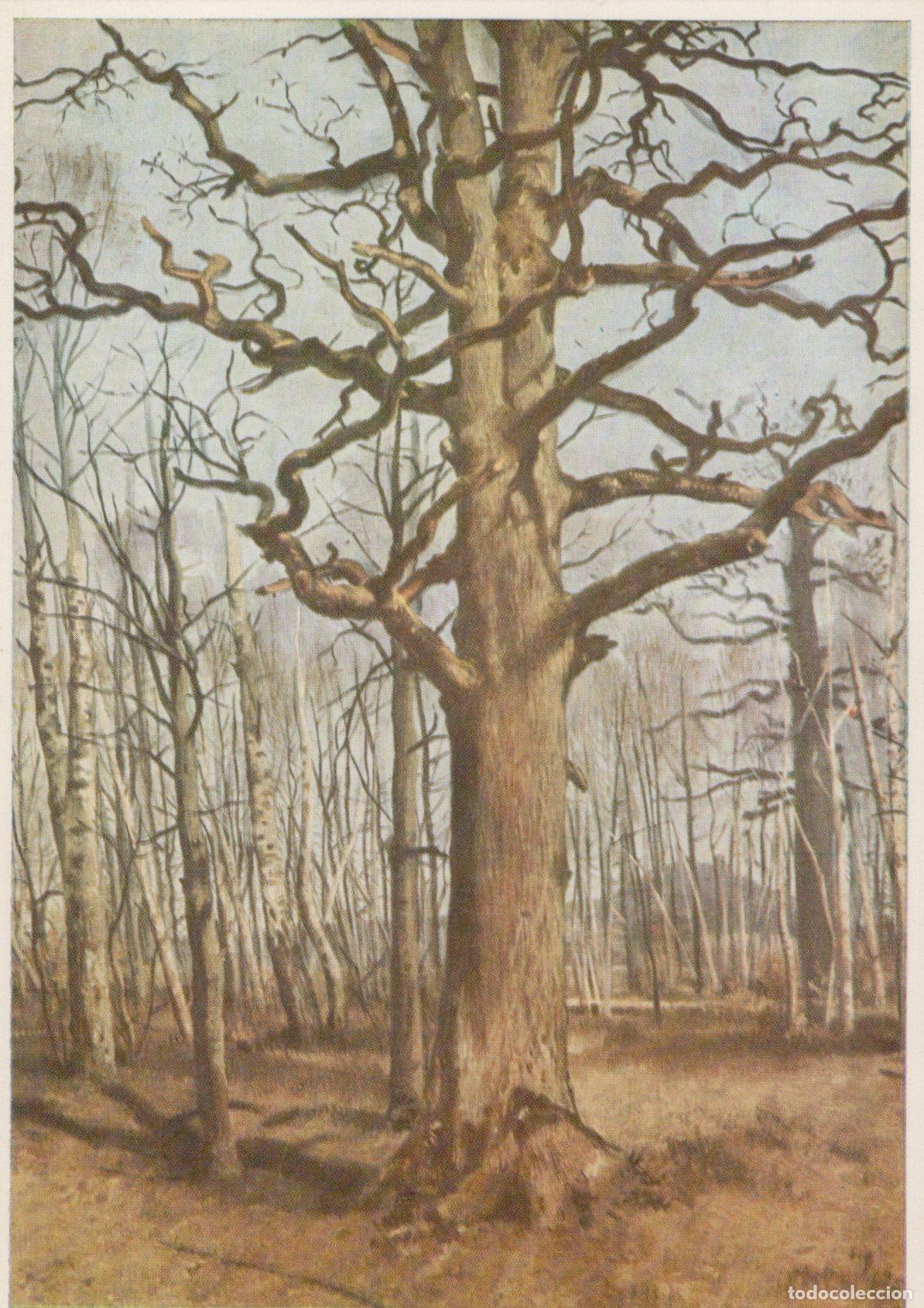 Postais: Germany Dresden Ferdinand von Rayski Landscape Painting Oak Unposted *YAU301