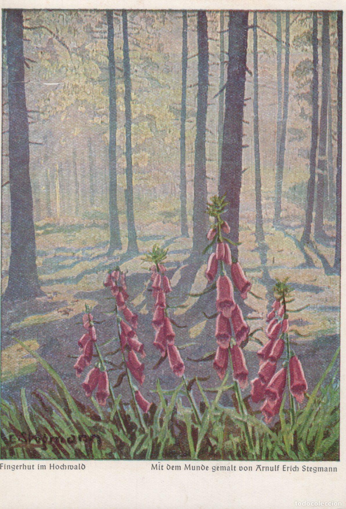 Postkarten: Germany Foxglove in High Forest Painted By Mouth By Arnulf Unposted *YAU167