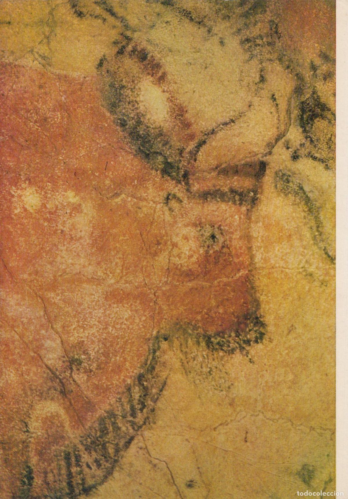 Postkarten: Spain Santillana del Mar Altamira Cave Painting Head of A Bison Unposted *YAU522