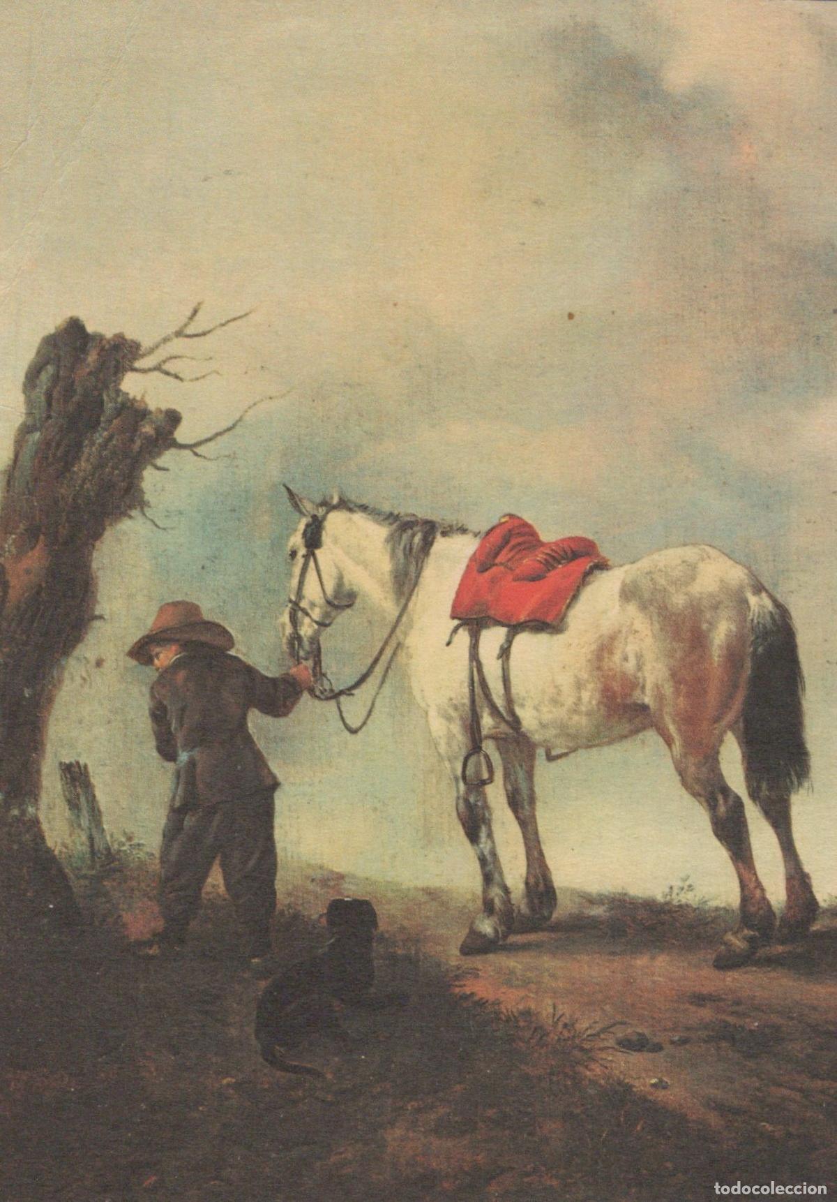Postkarten: Netherlands Amsterdam Philips Wouwerman der Schimmel Boy With Unposted *YAU431