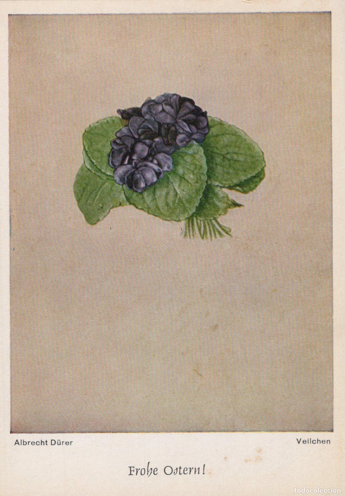 Postkarten: Germany Munich Albrecht D&uuml;rer Violets Frohe Ostern Easter Unposted *YAU302