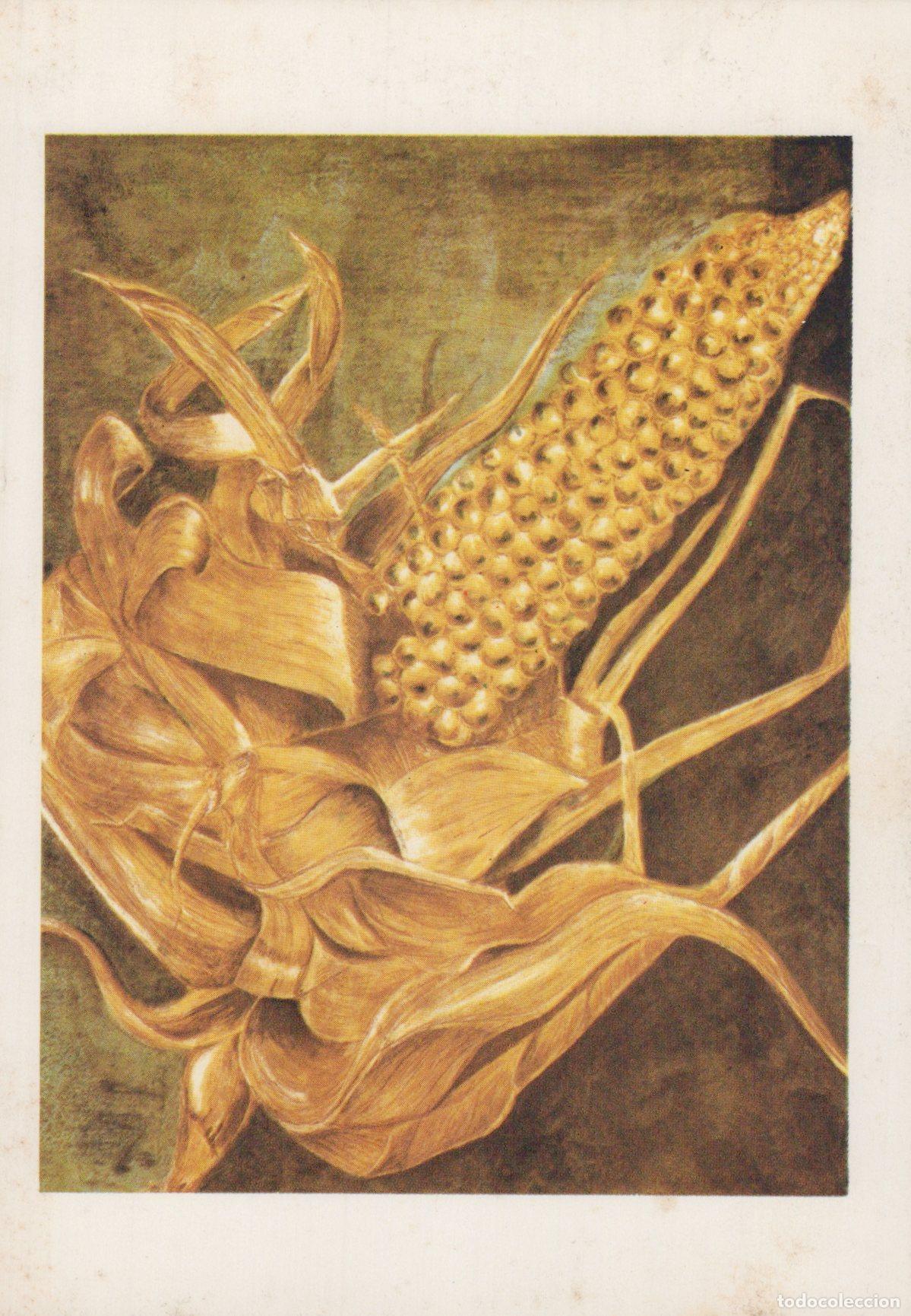 Postkarten: Germany Art Kellogg S Ulrike W&ouml;hrle Mais Corn Cob Painting 1984 Unposted *YAU327