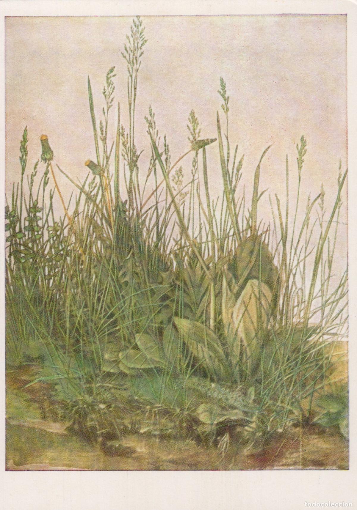 Postkarten: Austria Vienna Albrecht Durer the Great Piece of Turf Albertina Unposted *YAU417