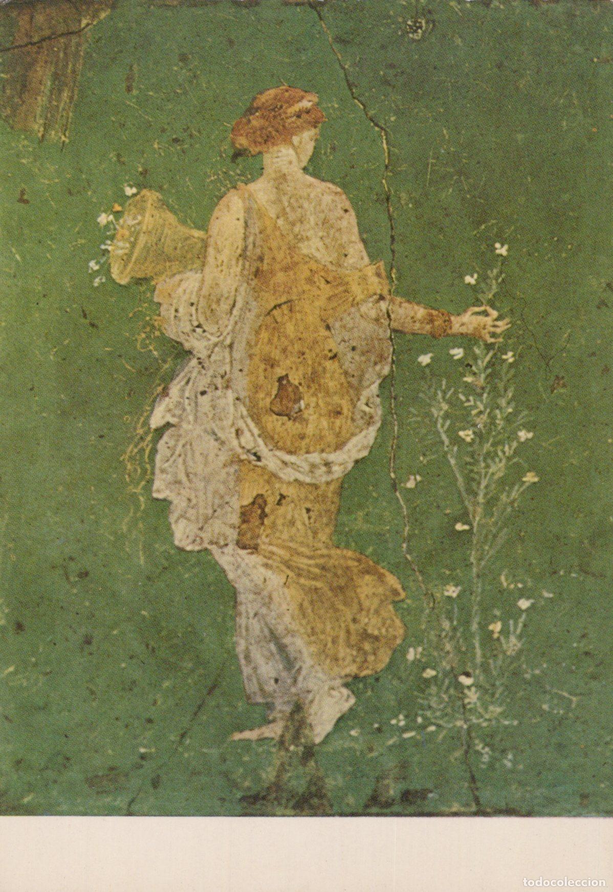 Cartoline: Italy Stabiae Ancient Roman Fresco Flora Wall Painting Art Unposted *YAU520