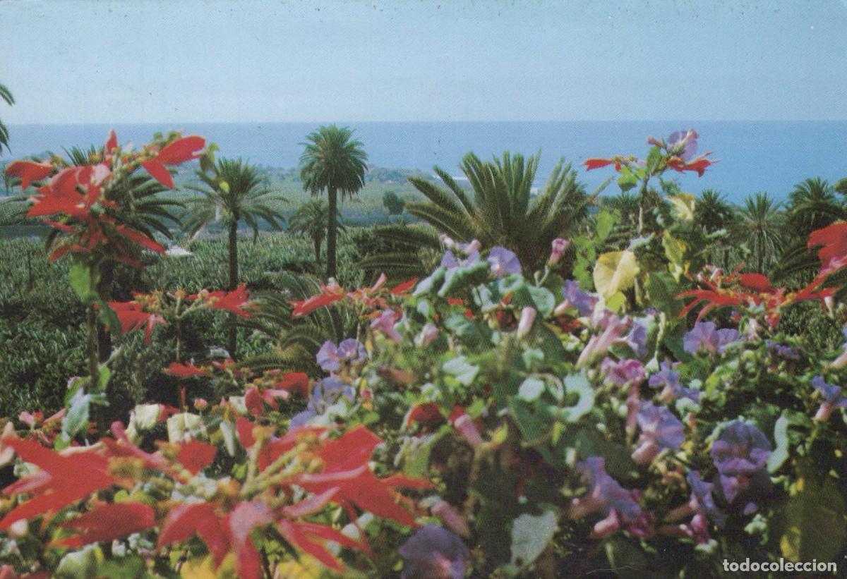 Postkarten: Spain La Gomera Canary Islands Tropical Flowers Palm Trees Unposted *YAT007