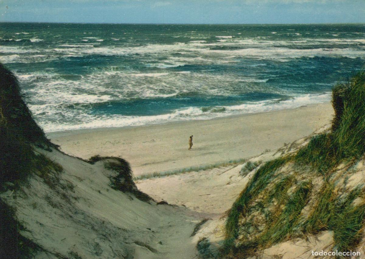 Postkarten: Germany Westerland Lone Figure On Sandy Beach With Dunes Rough Sea *YAT015