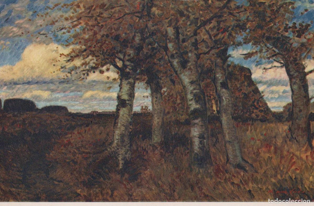Postkarten: Germany Worpswede Hans am Ende IM Teufelsmoor Birch Trees Unposted *YAU670