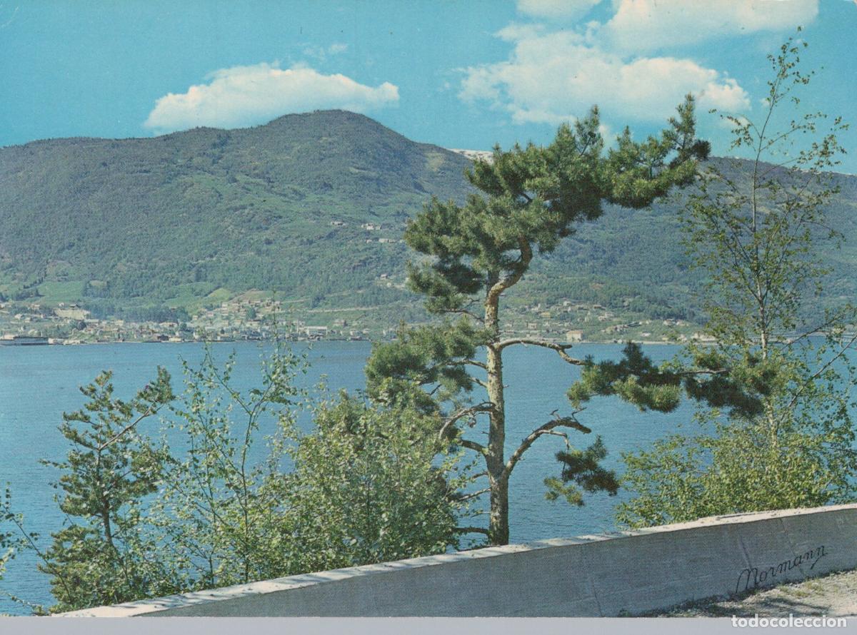 Postkarten: Norway Sogndal In Fjord Landscape With Mountains and Pine Tree Unposted *YAT064