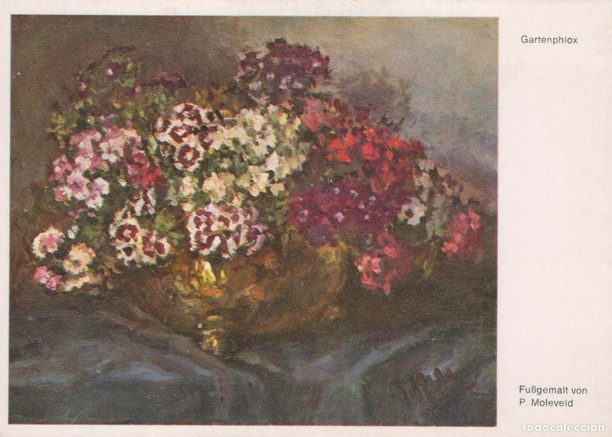 Postales: Germany Gartenphlox Foot Painted By P Moleveld Floral Still Unposted *YAU848