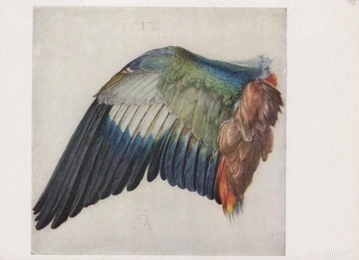 Cartes Postales: Germany Munich Wing of A Blue Roller By Albrecht D&uuml;rer Unposted *YAU869