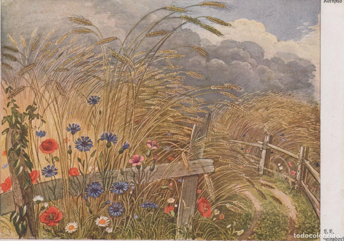 Postcards: Germany Munich Rural Landscape Wheat Field Wildflowers Wooden Unposted *YAU929