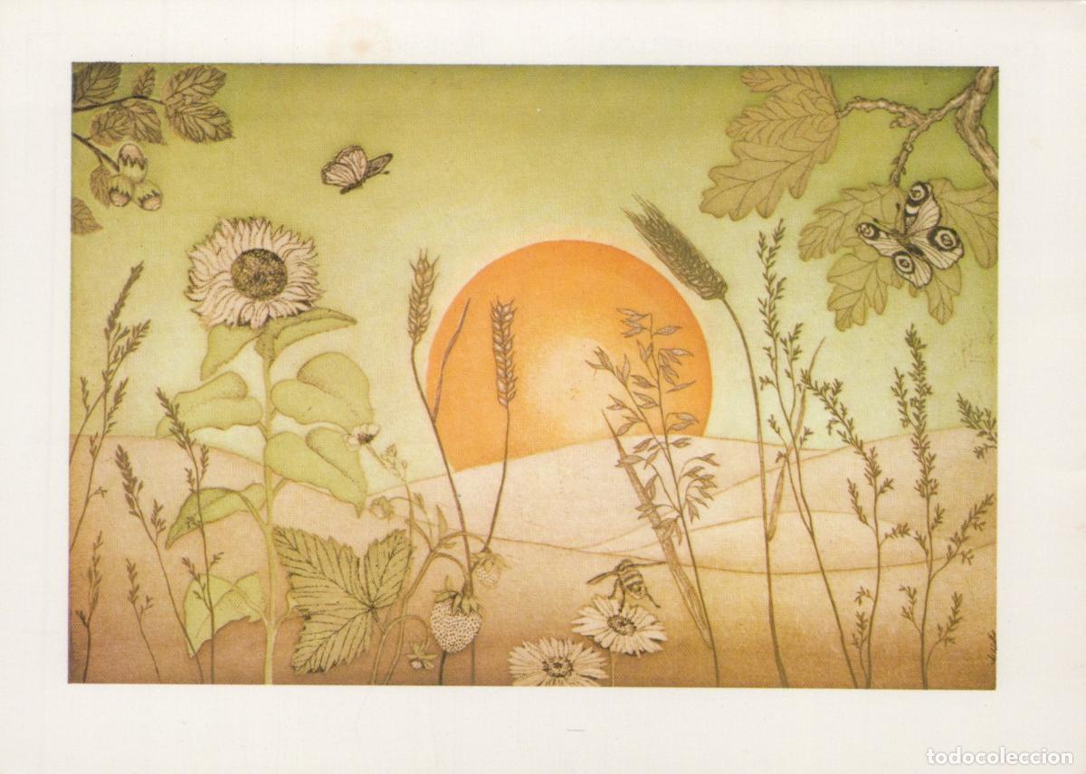 Postcards: Germany Countryside Sunset With Butterflies Sunflower Wheat and Unposted *YAU985