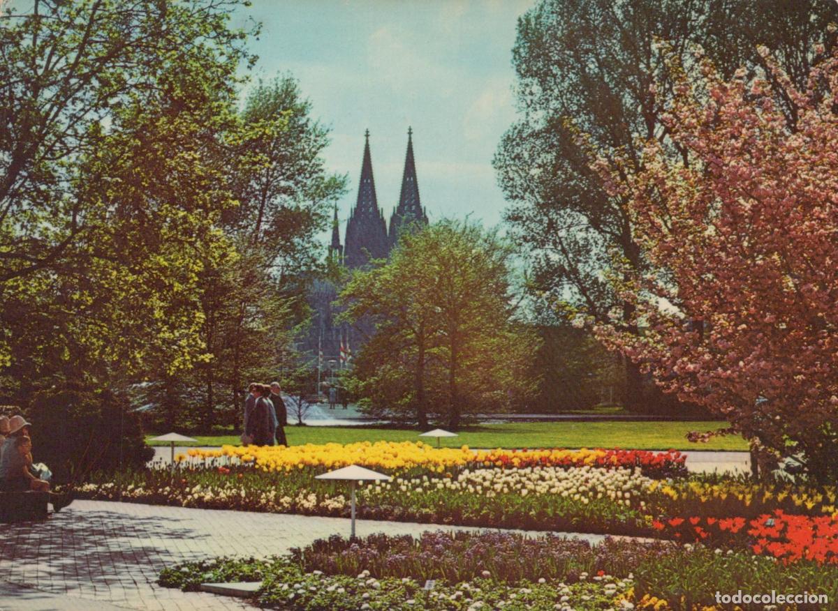 Postales: Germany Cologne Rhine Park With Cathedral Spires Spring Flowers Unposted *YAT482