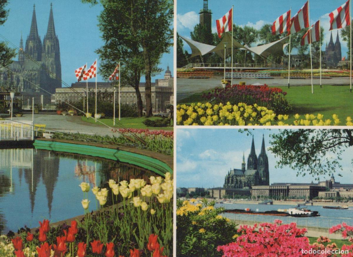 Postcards: Germany Cologne Cathedral and Rhinepark With Flowers *YAT632