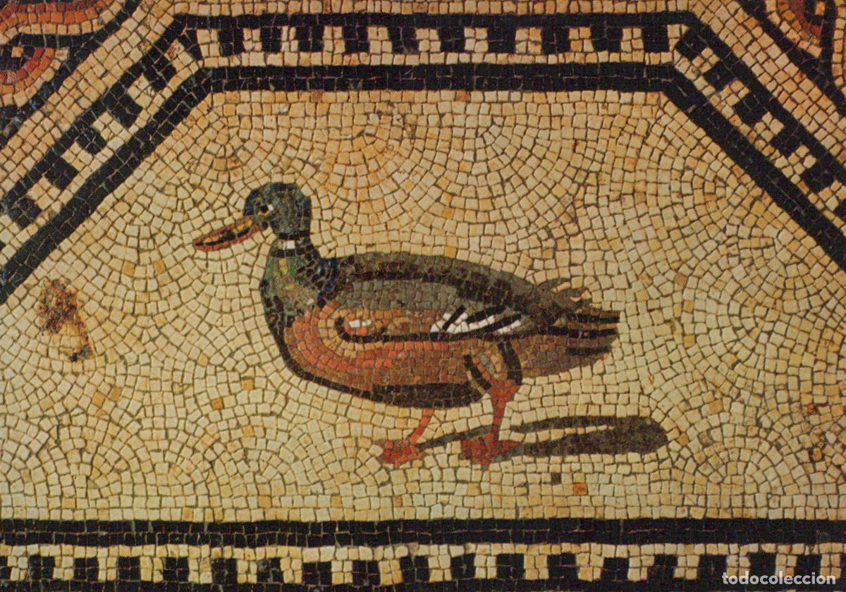 Postcards: Germany Cologne Roman Germanic Museum Duck Detail Dionysos Unposted *YAT880