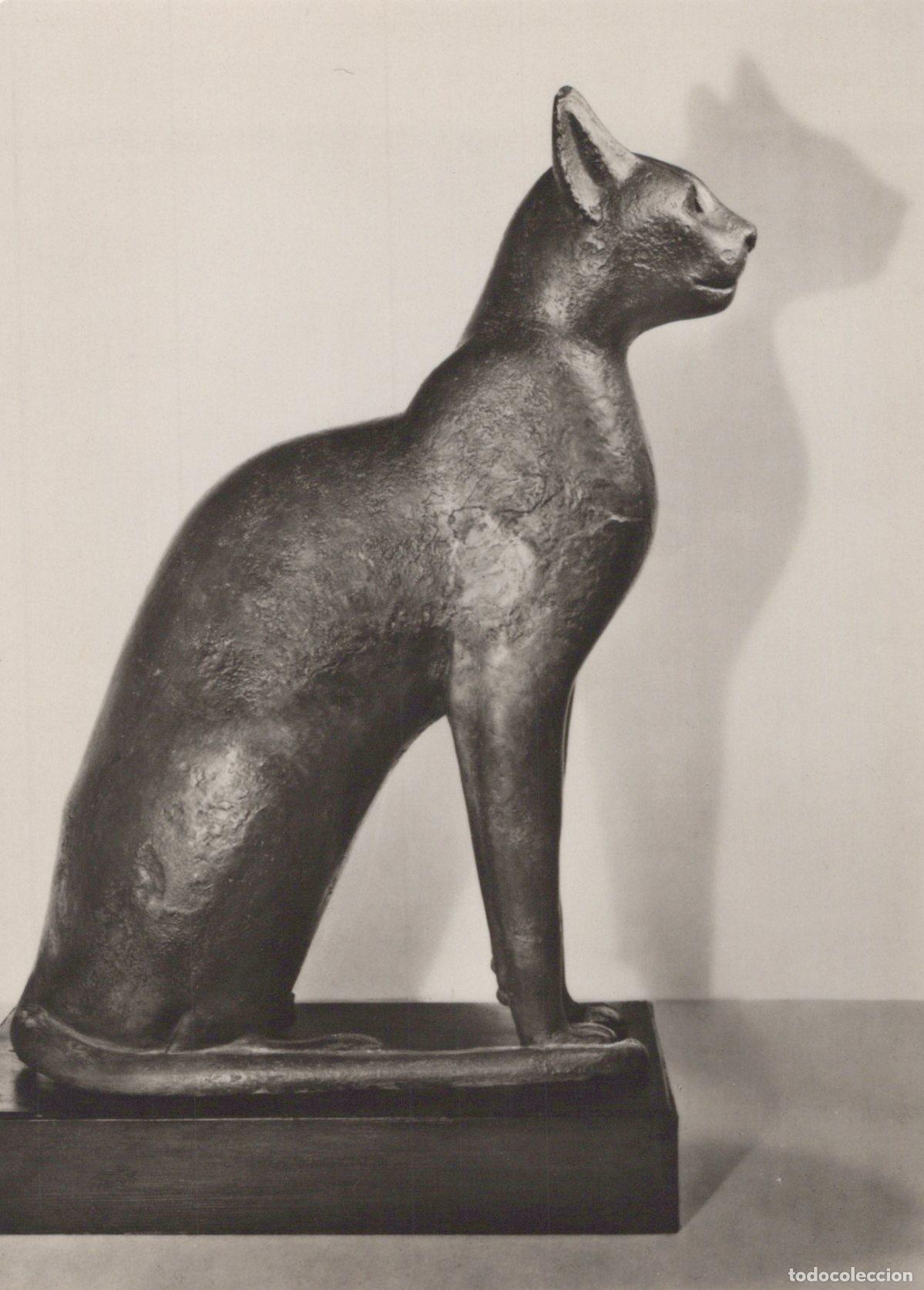Postcards: Germany Berlin Egyptian Museum Bronze Cat Statue Real Photo Unposted *YAT960