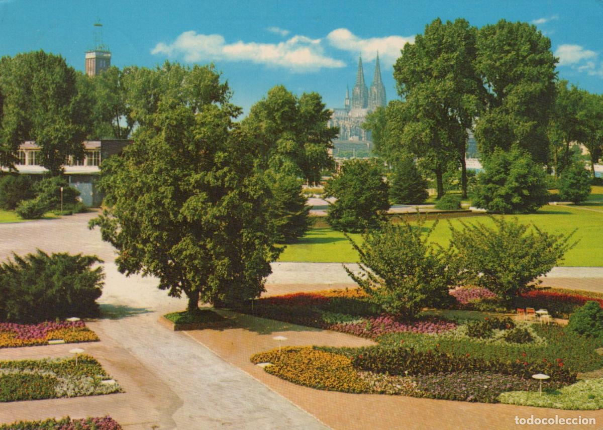 Postales: Germany Cologne Rheinpark Gardens With Cathedral in Background *YAT872