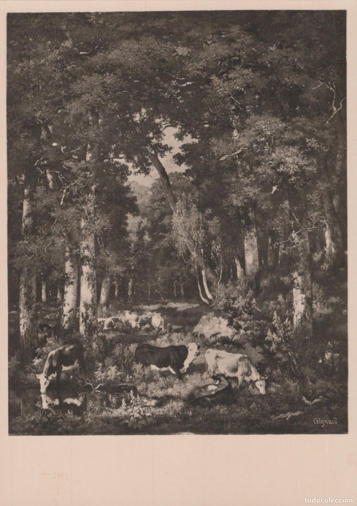 Postales: Germany Leipzig Louis Coignard Cows in the Forest of Real Photo Unposted *YAT937