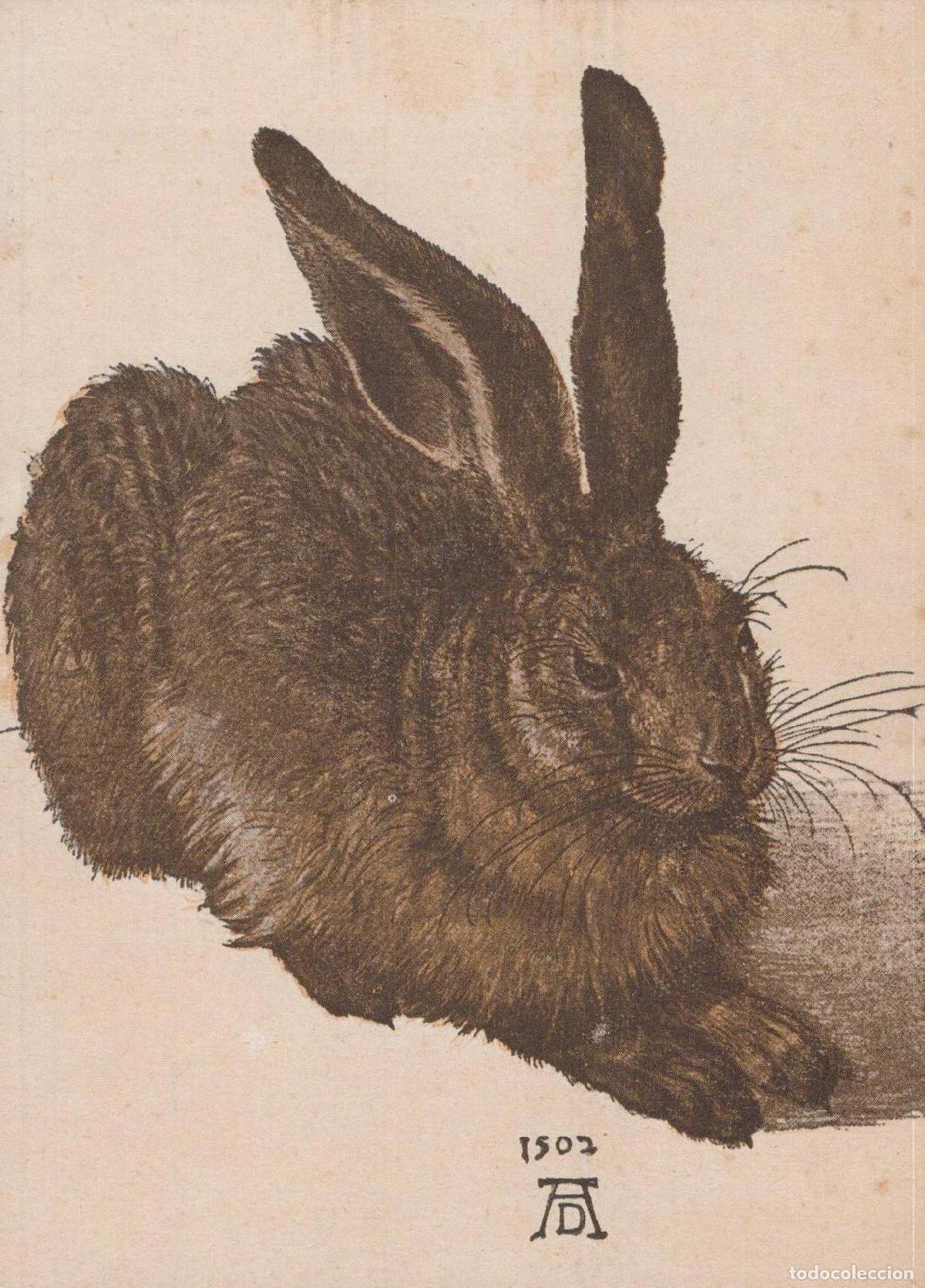 Cartoline: Germany Nuremberg Albrecht D&uuml;rer Young Hare 1502 Art Unposted *YAU103