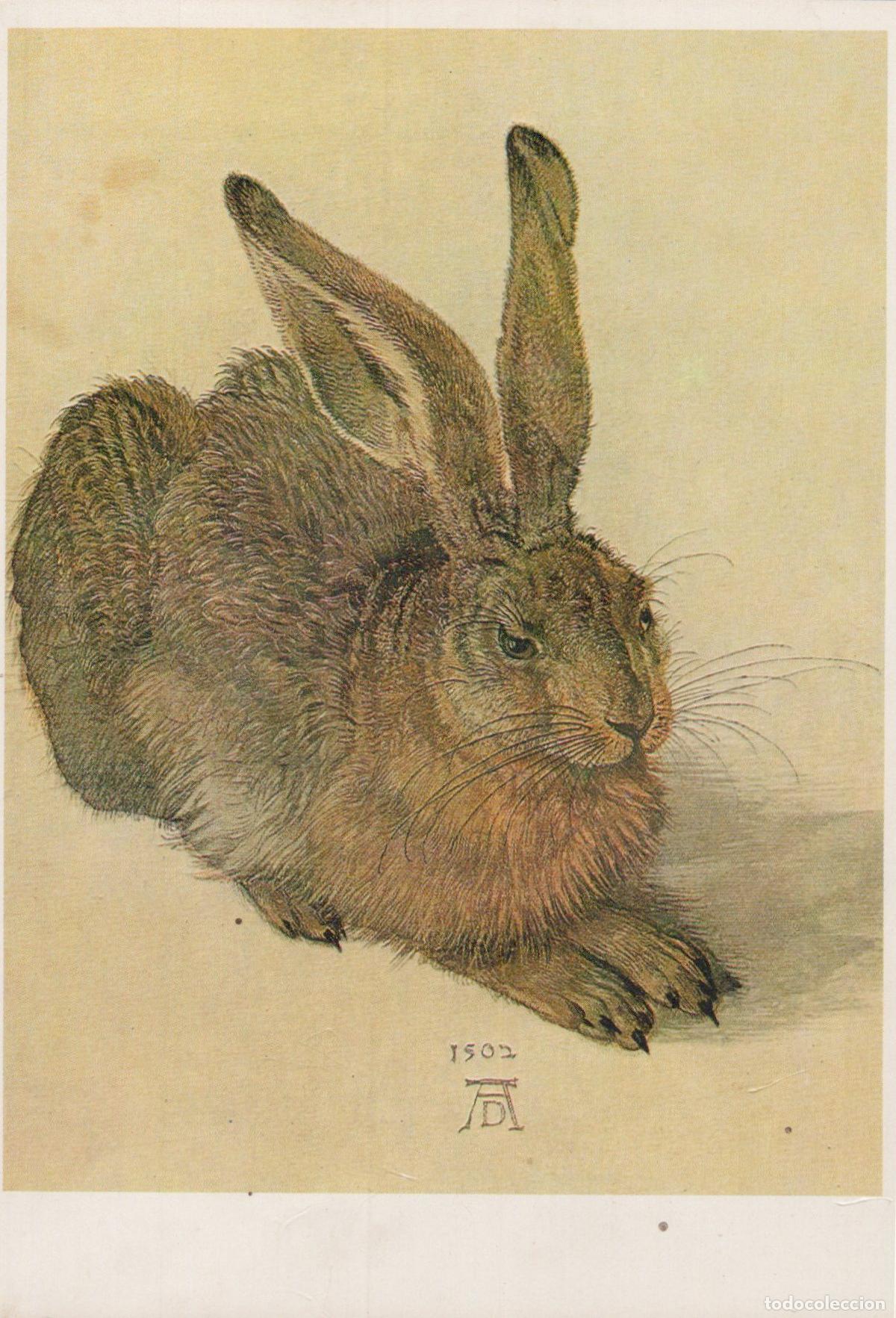 Cartes Postales: Austria Vienna Albrecht D&uuml;rer the Hare 1502 Albertina Museum Unposted *YAU100