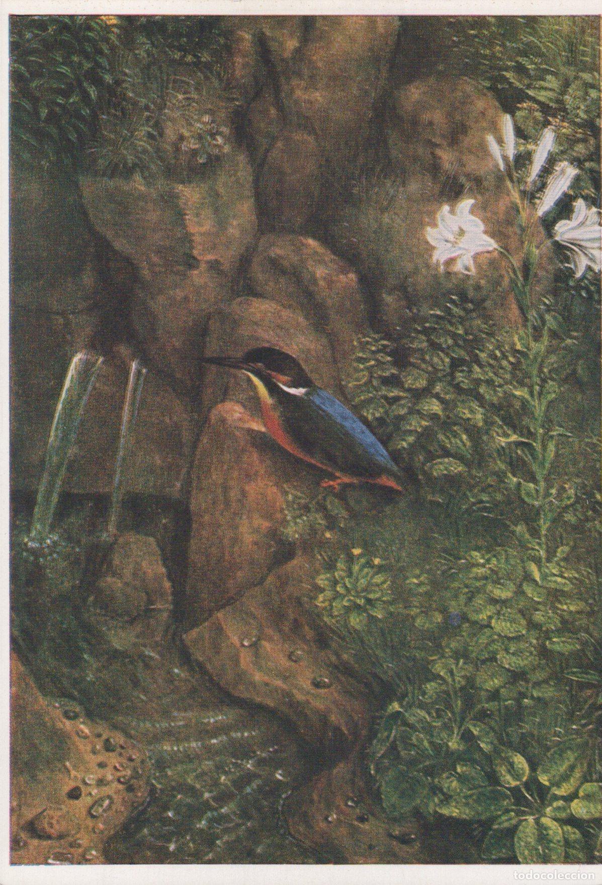 Postkarten: Germany Munich Dieric Bouts Kingfisher At the Spring Still Life Unposted *YAU170