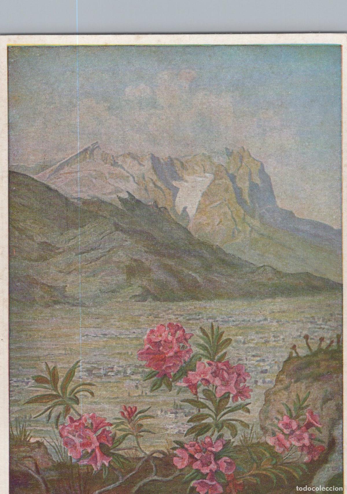 Postkarten: Germany Garmisch Partenkirchen Alpenrosen Bei Garmisch Mountain Unposted *YAU185