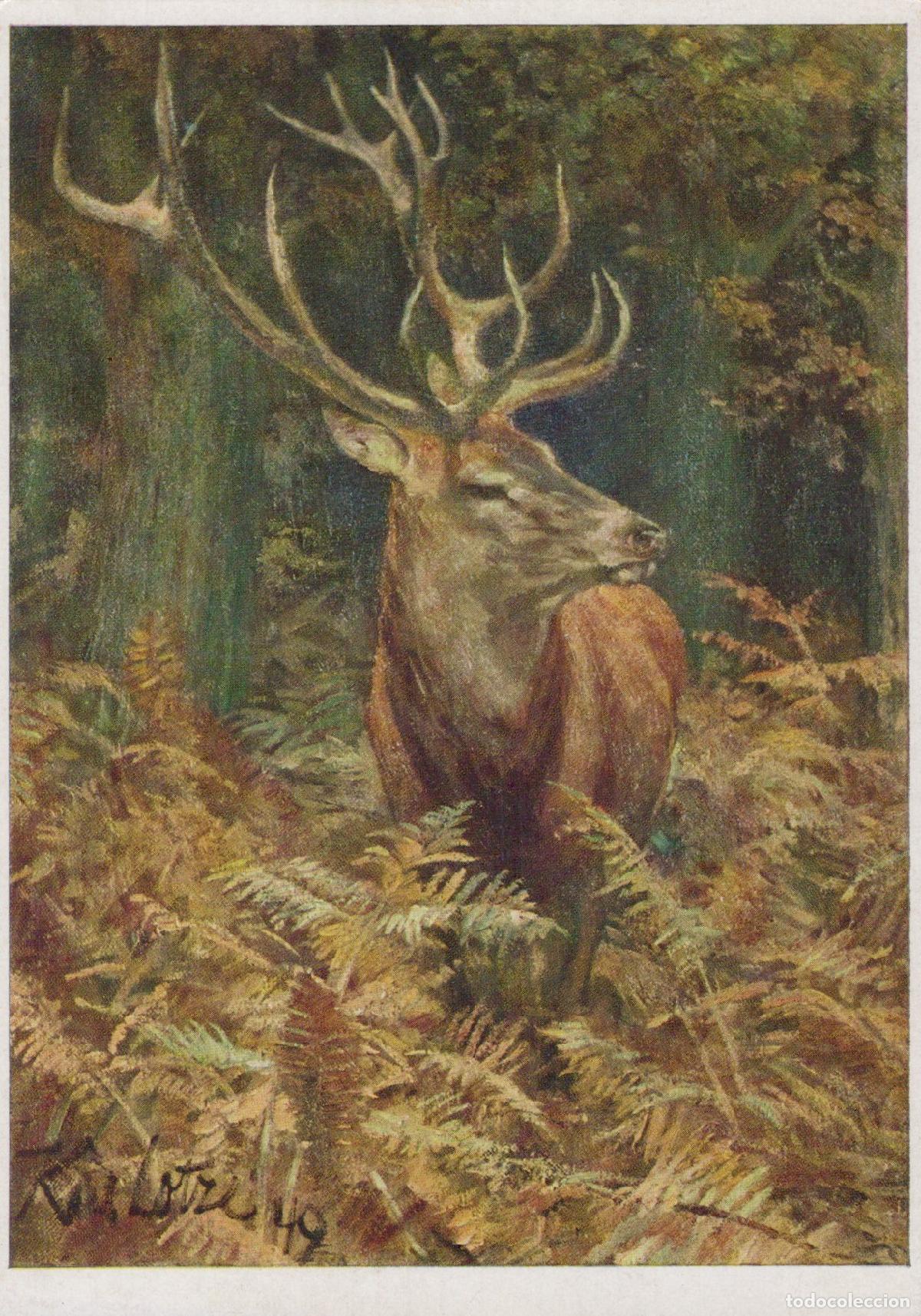 Cartoline: Germany Esslingen A N Forest Red Deer Stag Karl Lotze Painting Unposted *YAU348
