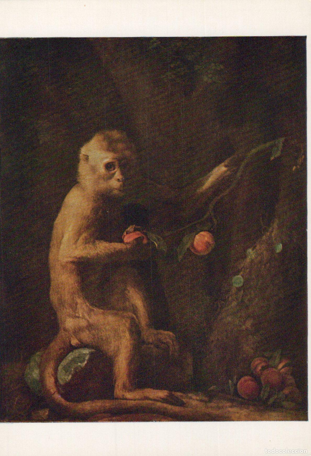Cartoline: United Kingdom Liverpool Walker Art Gallery George Stubbs Unposted *YAU531