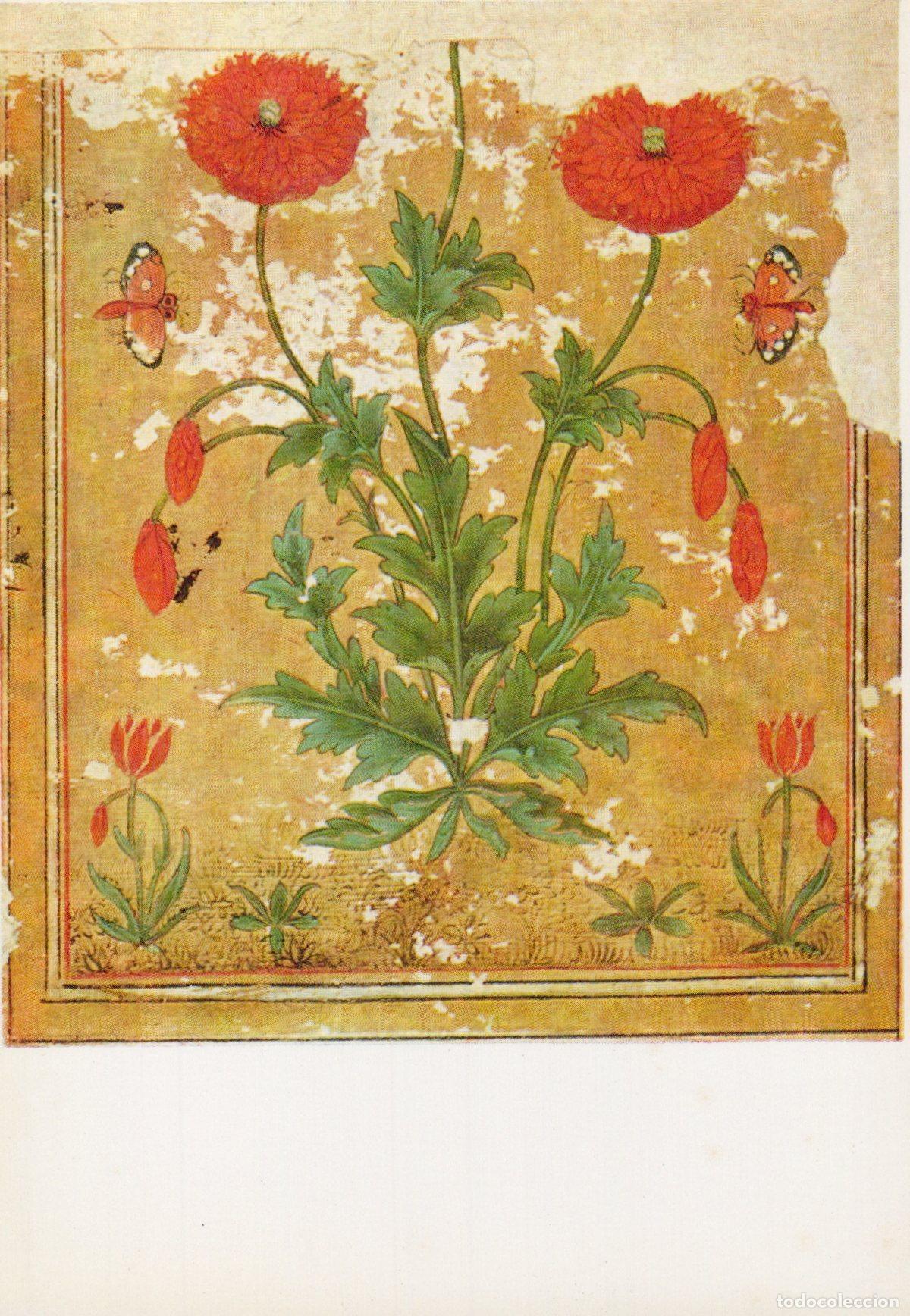 Postales: Germany Berlin Mughal Style Poppy Plant Miniature Painting 17th Unposted *YAU603