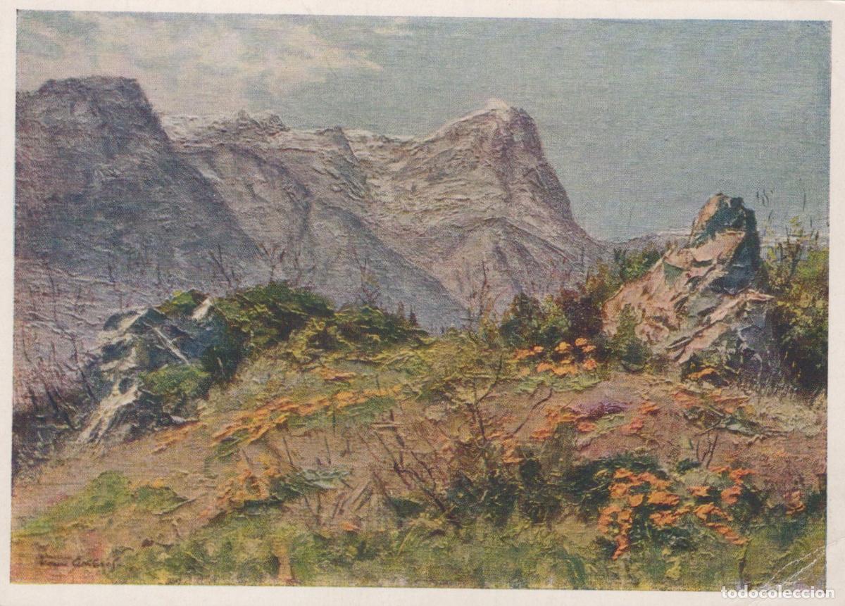 Postales: Russia Mountain Landscape With Euphorbia Flowers B N Yakovlev Unposted *YAU755