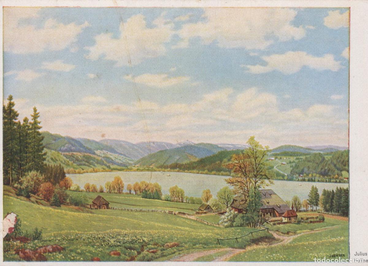 Cartes Postales: Germany Titisee Neustadt Lake Titisee Landscape With Farmhouses Unposted *YAU807