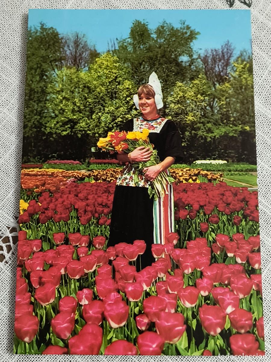Postales: POSTAL | MUJER CON TRAJE REGIONAL NEERLAND&Eacute;S Y TULIPANES - SIN CIRCULAR