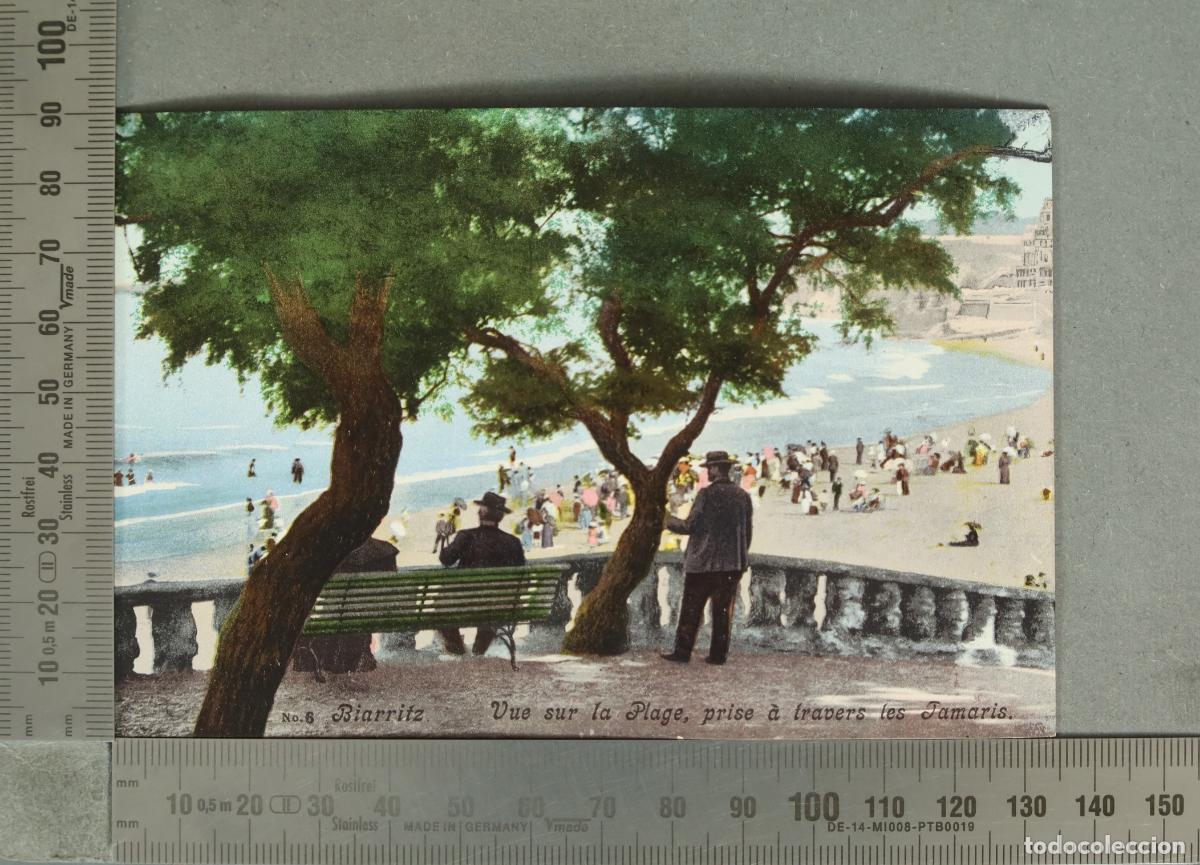 Postales: POSTAL. Biarritz - Vue sur la Plage, prise &agrave; travers les Tamaris