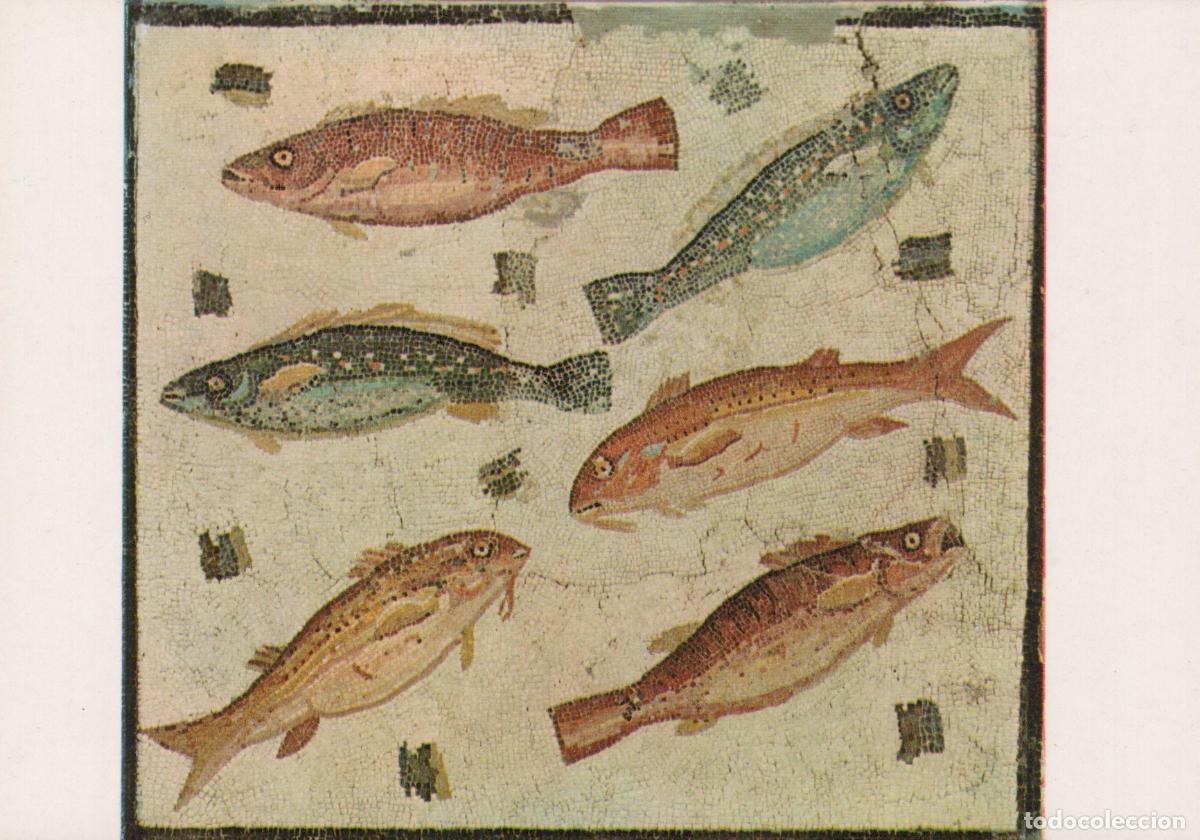 Cartes Postales: Italy Rome Roman National Museum Mosaic With Fishes Ancient Art Unposted *YAV061