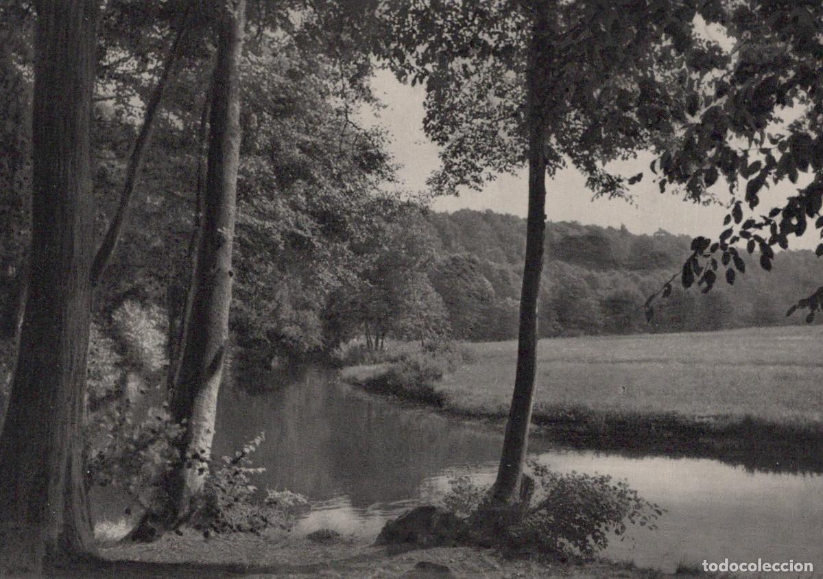 Cartoline: Germany Fallingbostel B&ouml;hmmetal River Landscape Trees Unposted *YAV140