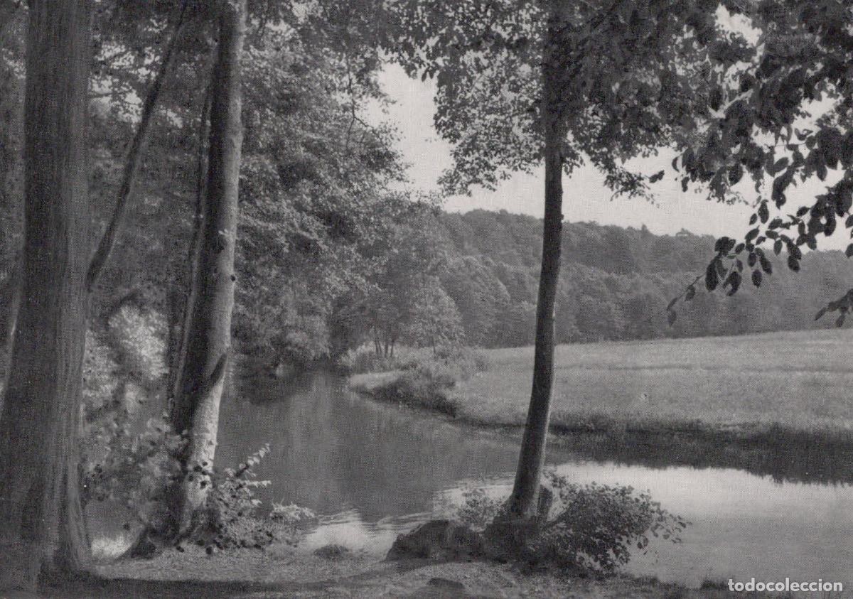 Cartoline: Germany Fallingbostel L&uuml;neburger Heide View Into B&ouml;hm Valley Unposted *YAV145