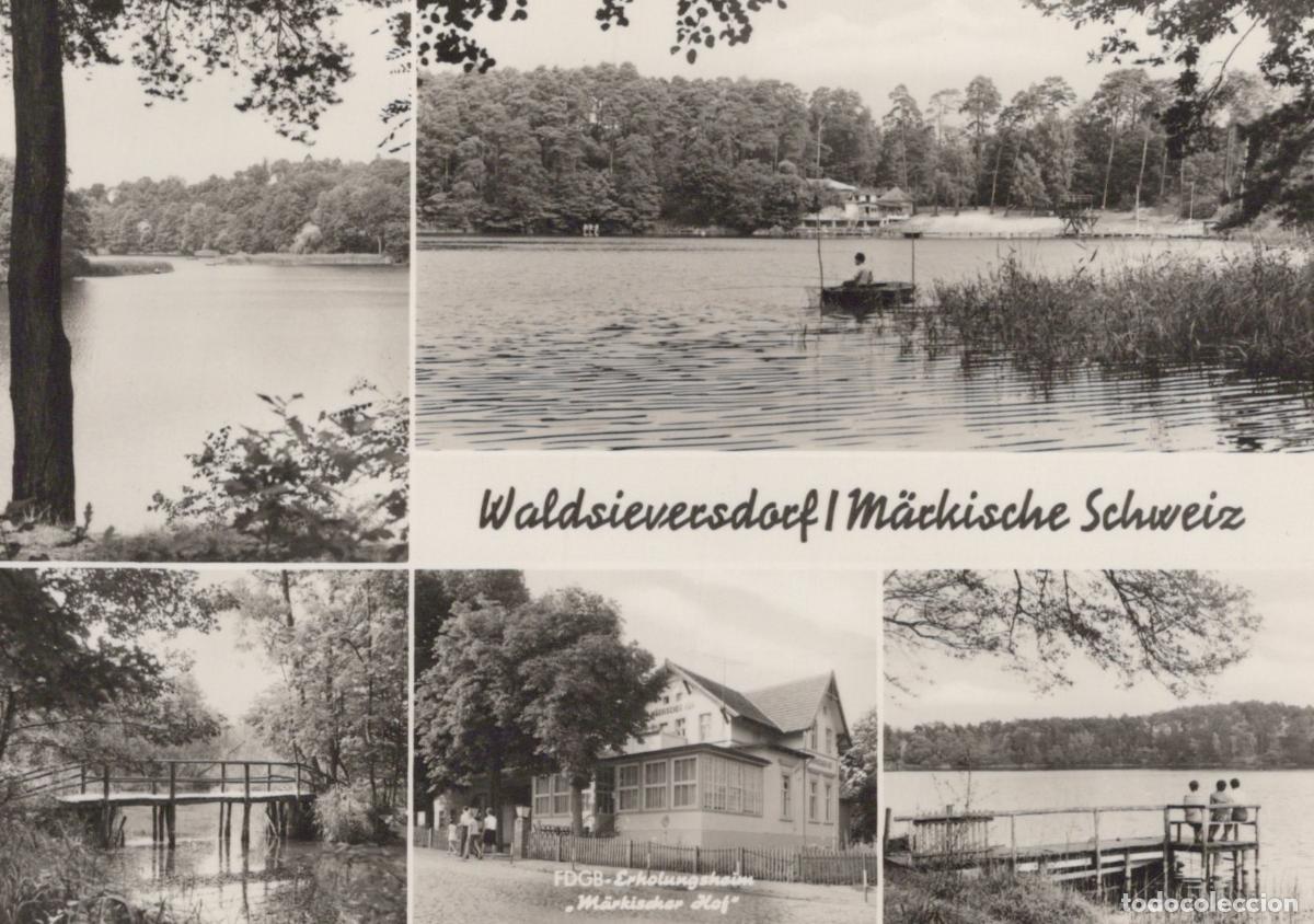 Cartoline: Germany Waldsieversdorf M&auml;rkische Schweiz Lake Views Real Photo Unposted *YAV149