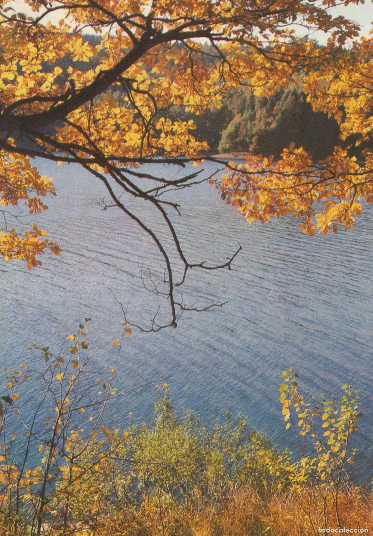 Postais: Germany Reichenbach IM Vogtland Reichenbach Vogtland Autumn Unposted *YAV255