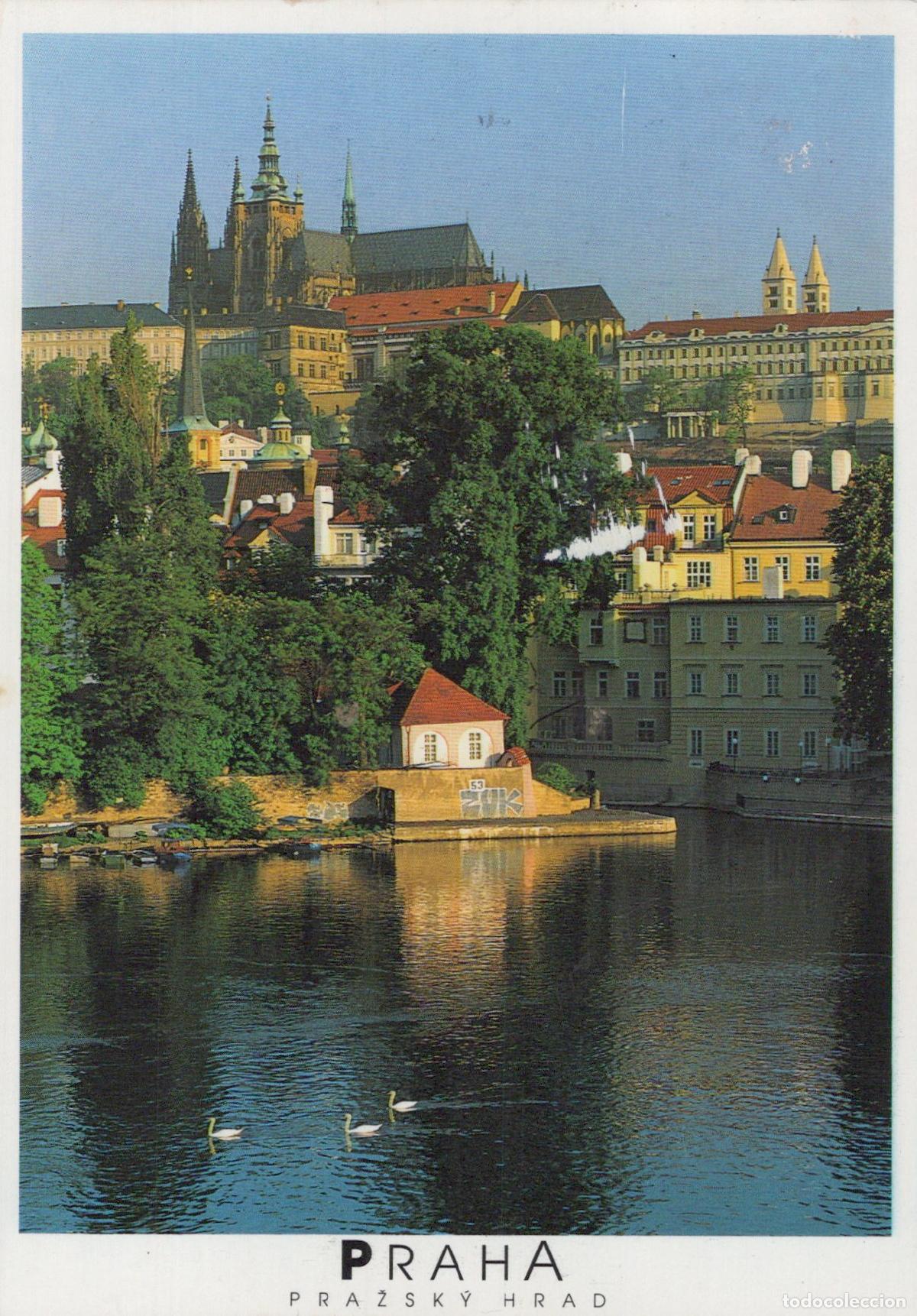 Postais: Czech Republic Prague Vltava River With Swans and Castle in Background *YAV249