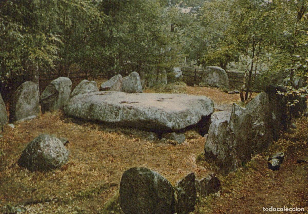 Cartoline: Germany Fintel Siebensteinh&auml;user Megalithic Tomb Ancient Burial Site *YAV483