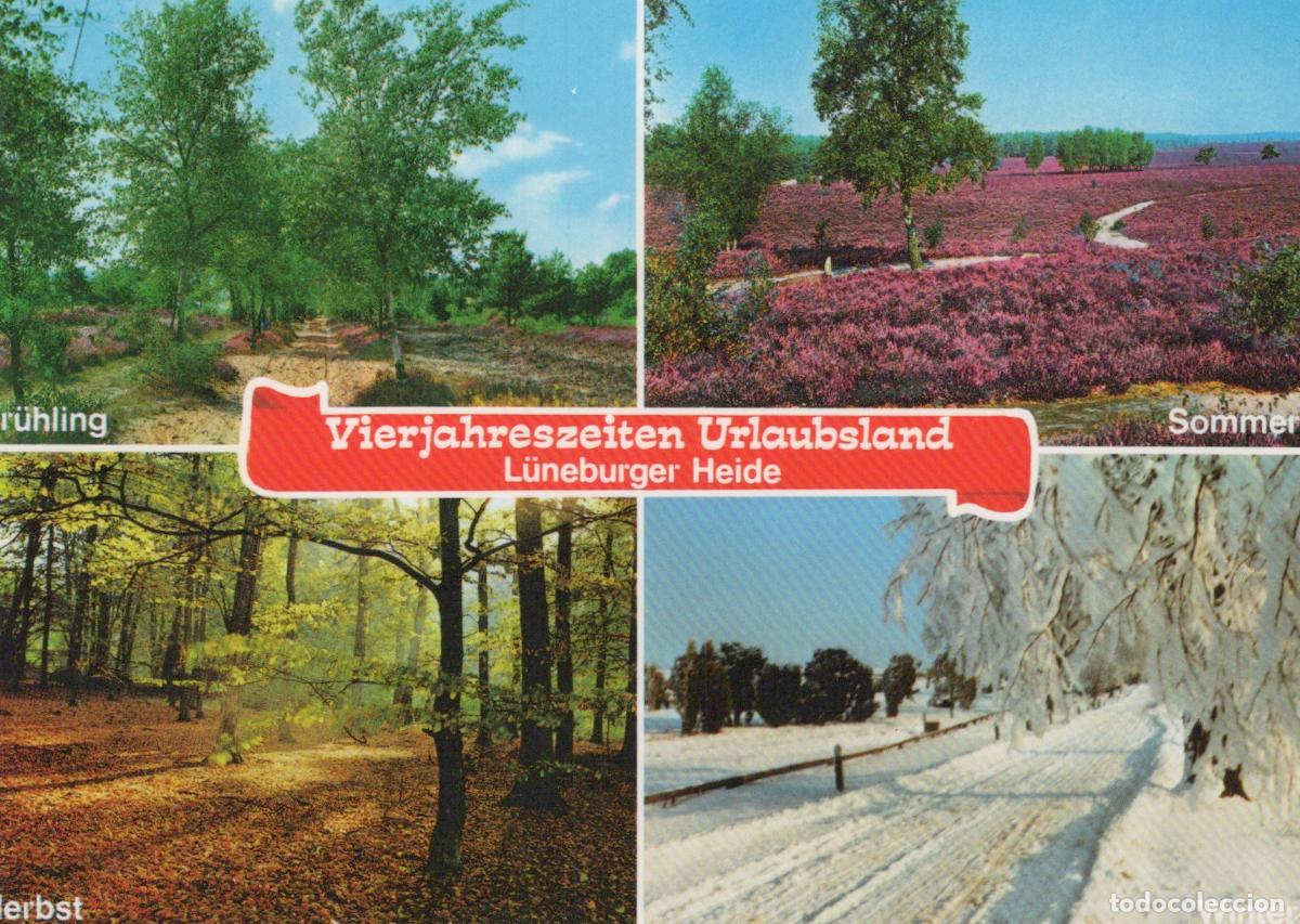 Postcards: Germany L&uuml;neburg Heath L&uuml;neburger Heide Four Seasons Collage Spring *YAV488