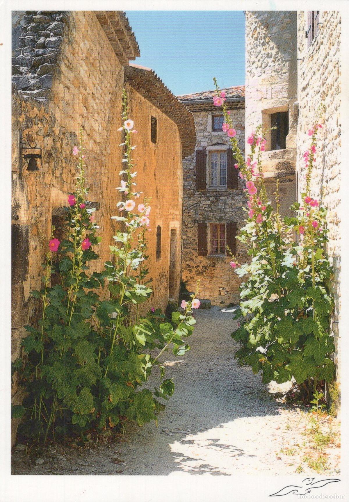 Cartoline: France Narrow Alley With Stone Buildings and Hollyhocks *YAV382
